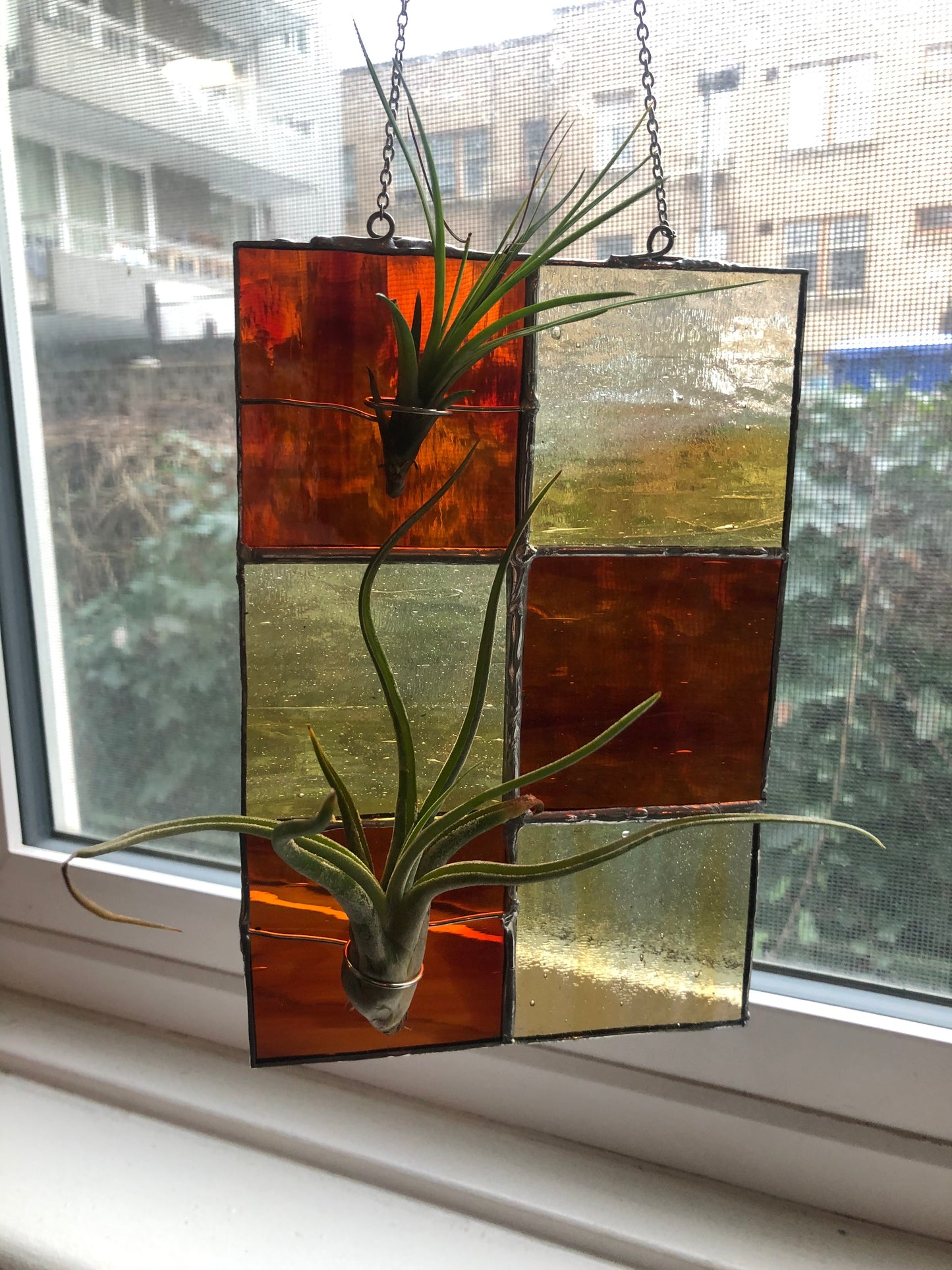 stained glass air plant holder / propagation station π±