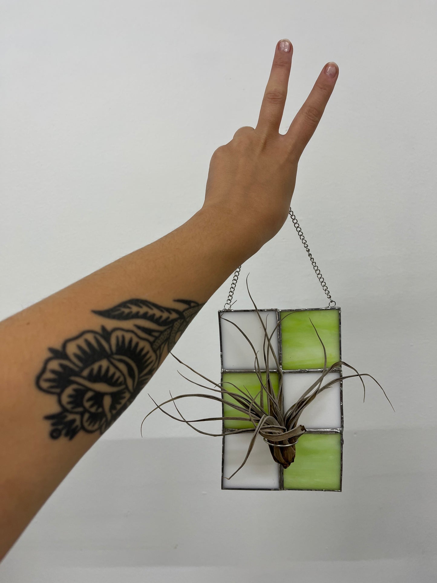 stained glass air plant holder / propagation station π±