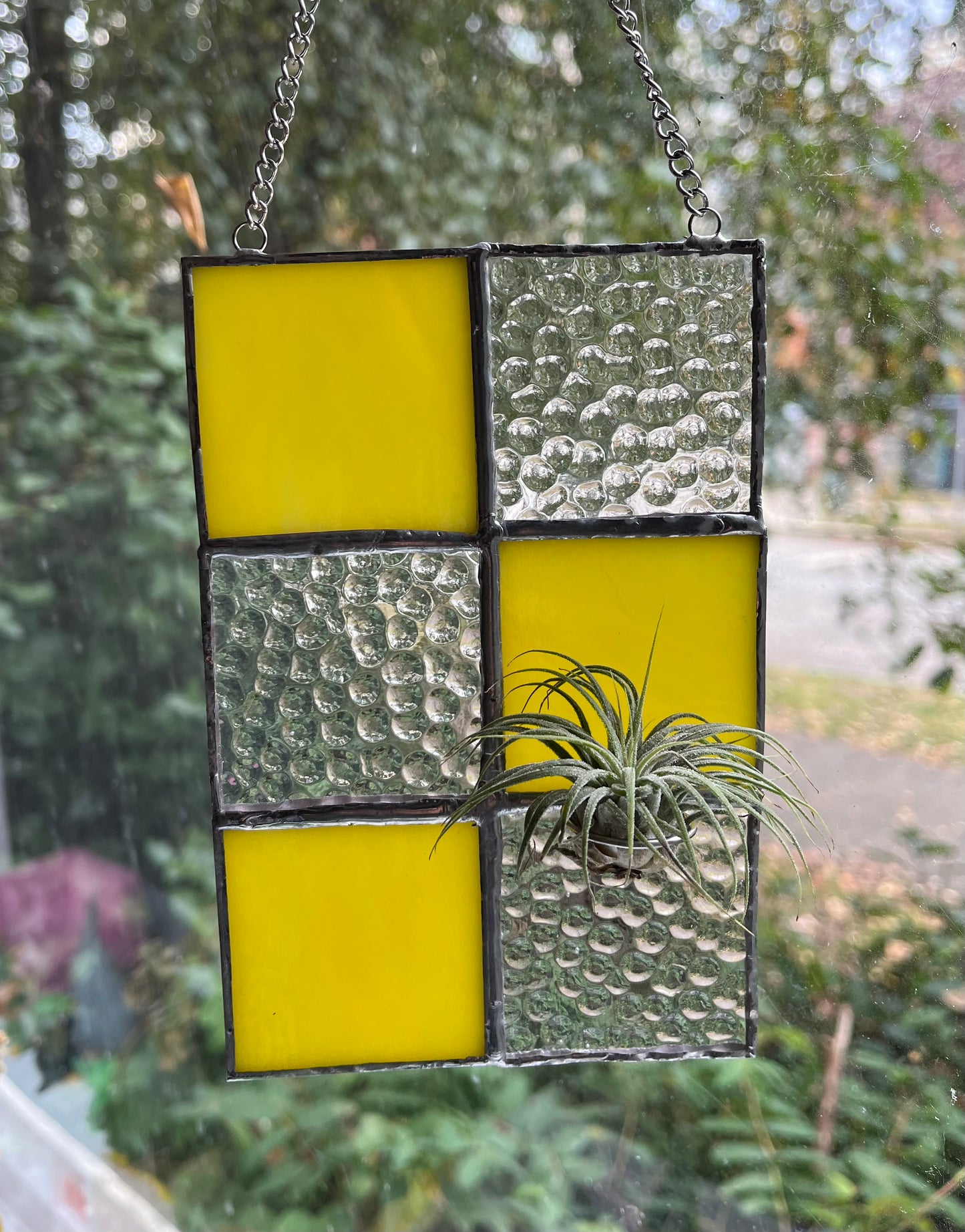 stained glass air plant holder / propagation station π±
