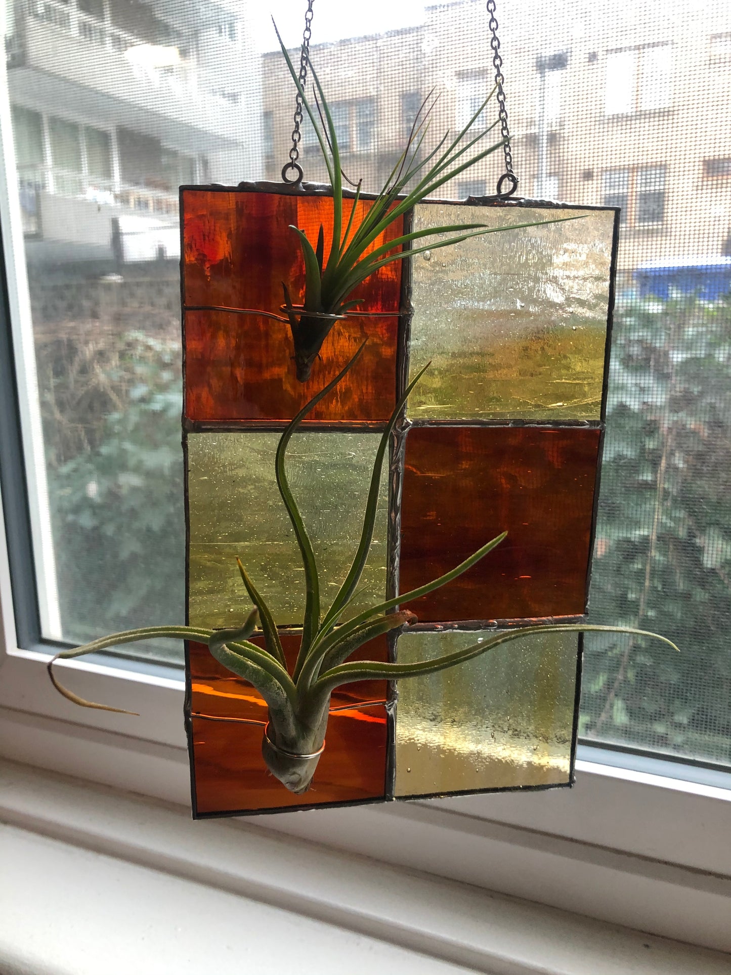 Stained Glass 🌱Air Plant Holder / Propagation Station